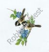 Chickadees with Blue Flowers #93