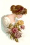 Chrysanthemum Lady #113
