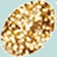Copper Stickles - Click Image to Close