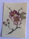 Cherry Blossoms Small Decal 1-1/4" x 1" Set of 5