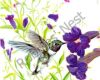 Hummingbird with Purple Flowers #84