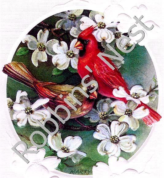 Cardinals #43 - Click Image to Close