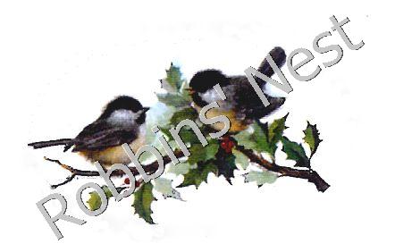 Chickadees on Holly Branch #41 - Click Image to Close