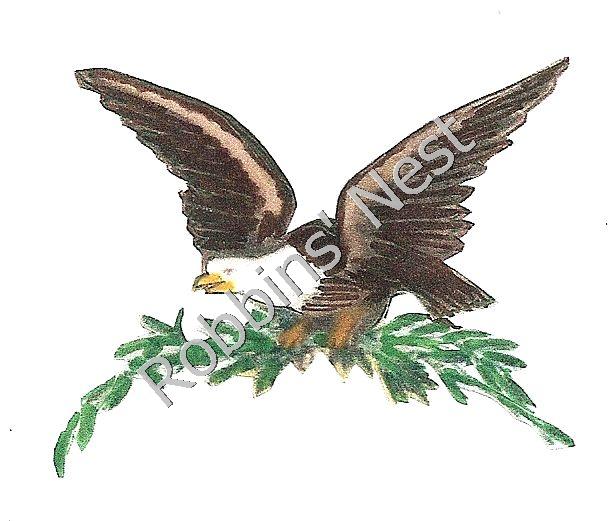 Eagle on Organdy Silk - Click Image to Close