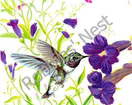 Hummingbird with Purple Flowers #84 - Click Image to Close