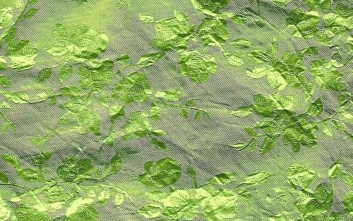 Lime Green Foil - Click Image to Close