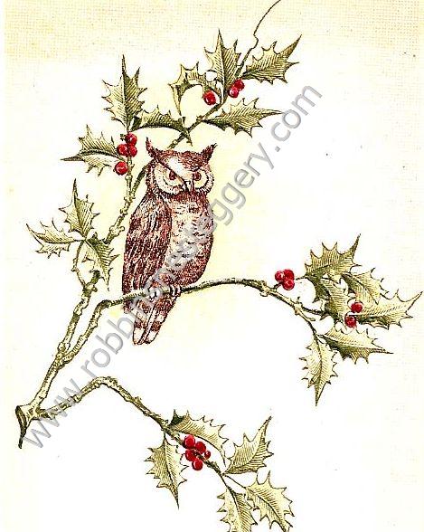 Owl on Holly #97 - Click Image to Close