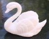 Large Plastic Swan