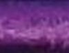 Purple Foil - Click Image to Close