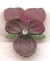 Violet Flowers - Purple - Click Image to Close