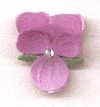 Violet Flowers - Rose