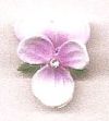 Violet Flowers - Rose/White
