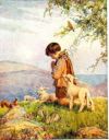 Praying Shepherd Boy #79