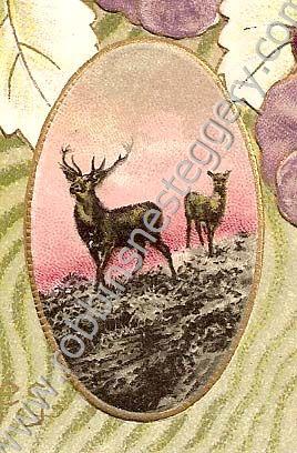 Elk #106 - Click Image to Close